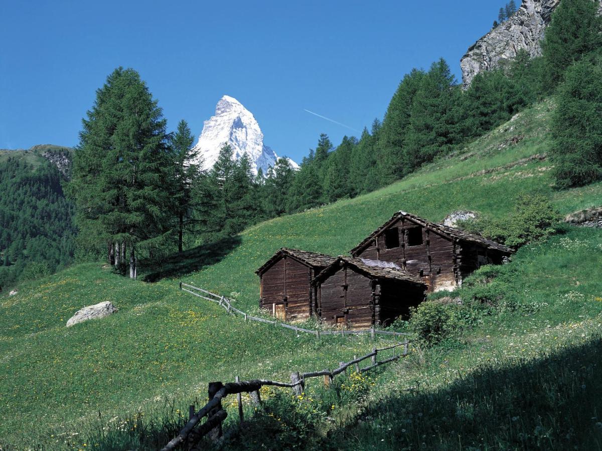Apollo By Interhome * Zermatt